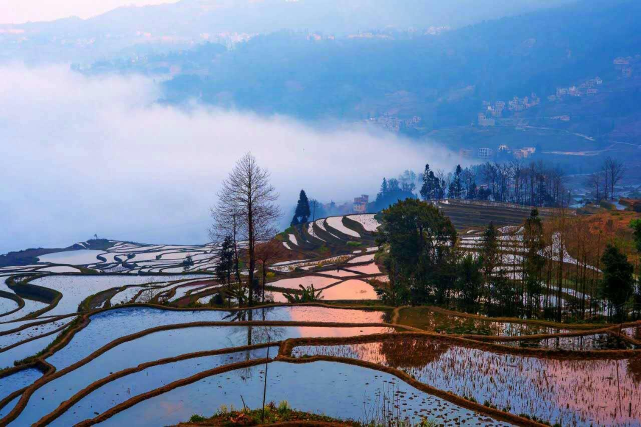 Green Hostel & Sunny Guesthouse Yuanyang  Exterior photo